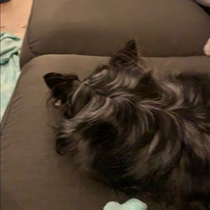 Meet your Posher, Tyler